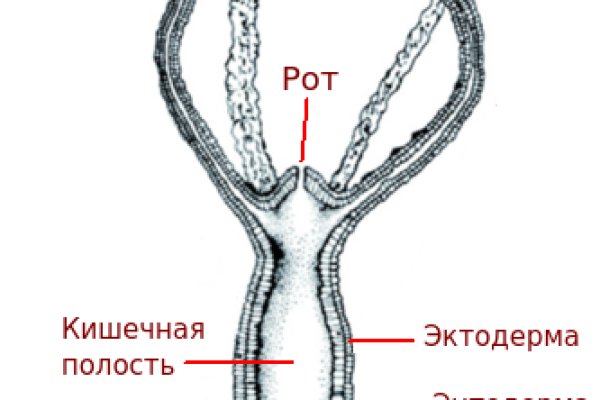 Kraken market зеркала