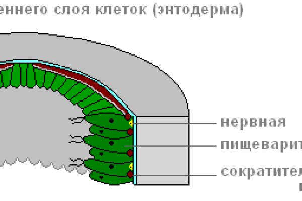 Как восстановить аккаунт на кракене даркнет