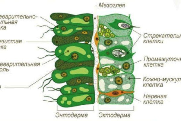 Кракен что за сайт