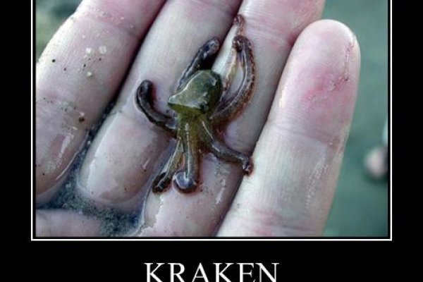 Ссылка кракена kraken clear com